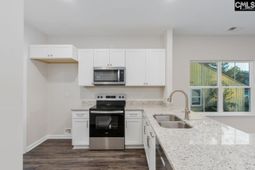 213 Spreading Branch Drive photo 4