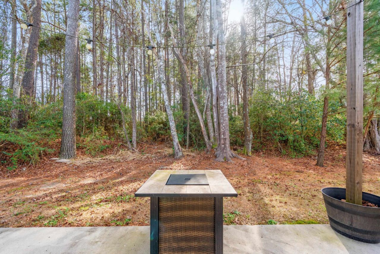 401 Quinta St. Photo 6