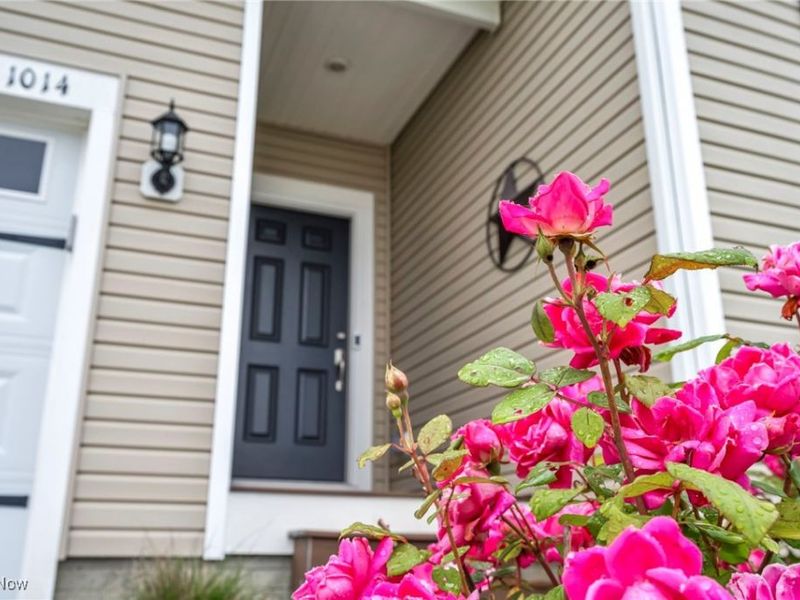 1014 Marissa Drive, Wadsworth, OH 44281 Photo 24