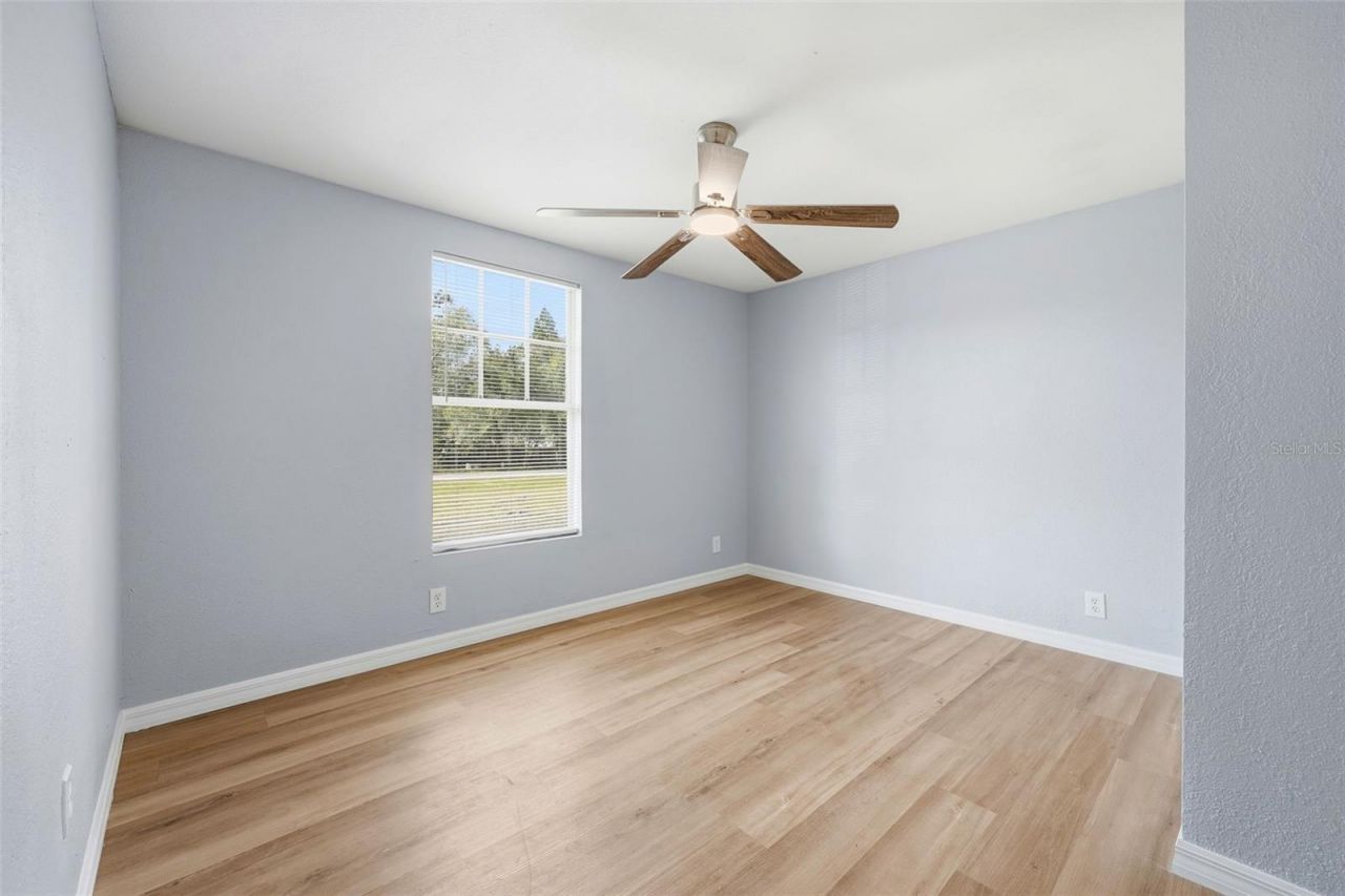 6416 Saddletree Drive, Wesley Chapel, FL 33544 Photo