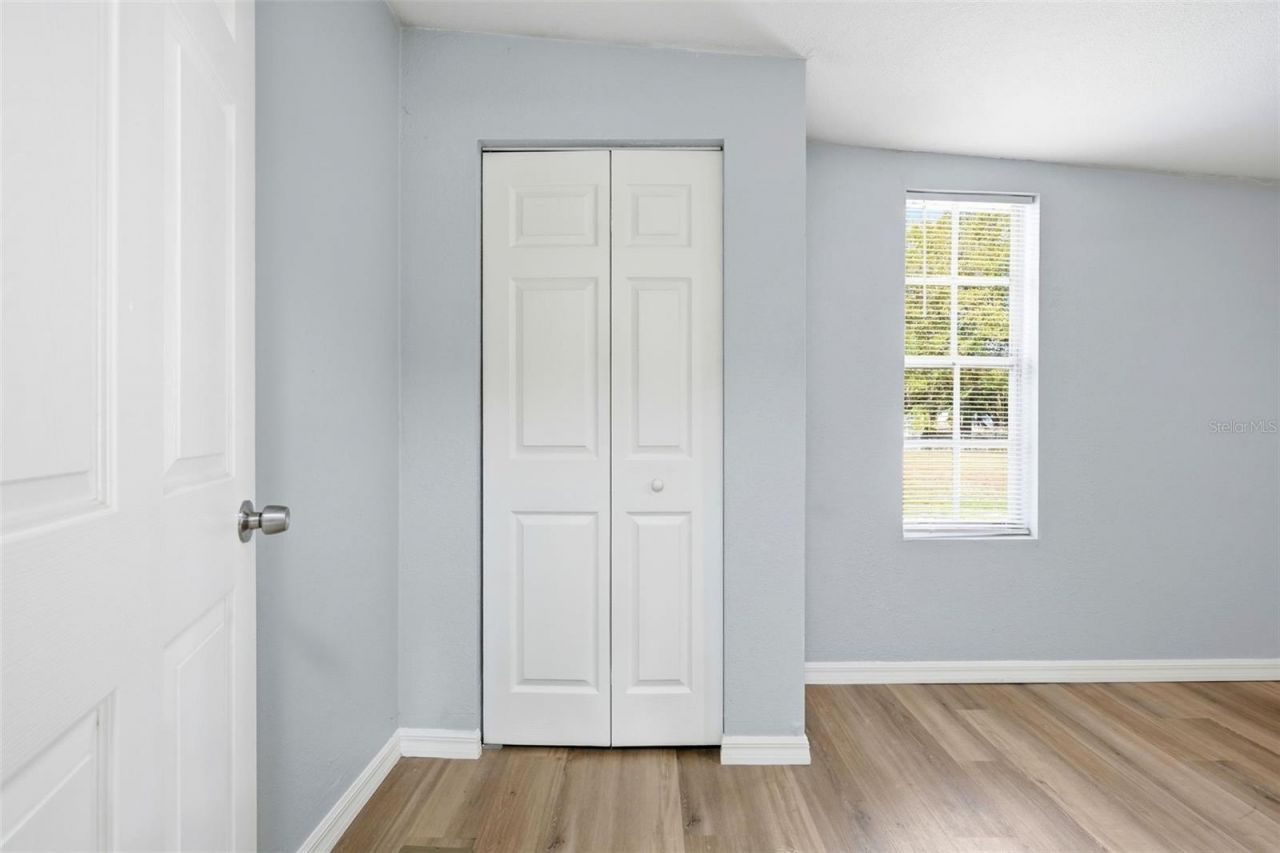 6416 Saddletree Drive, Wesley Chapel, FL 33544 Photo