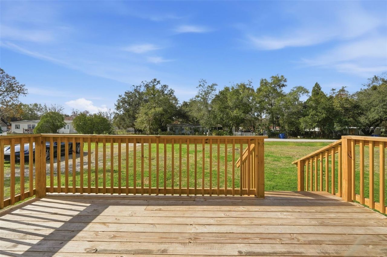 6416 Saddletree Drive, Wesley Chapel, FL 33544 Photo