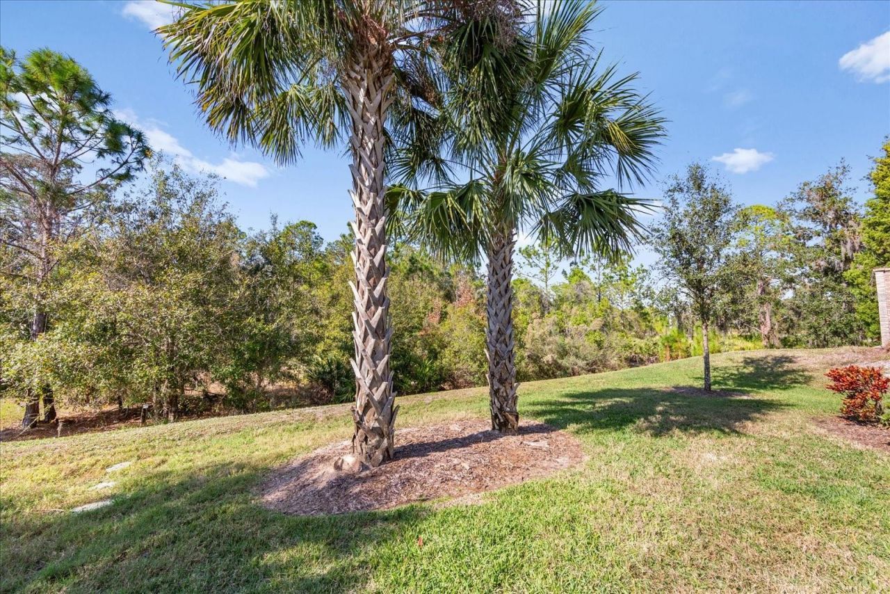 16606 Blackwater Terrace, Bradenton, FL 34202 Photo