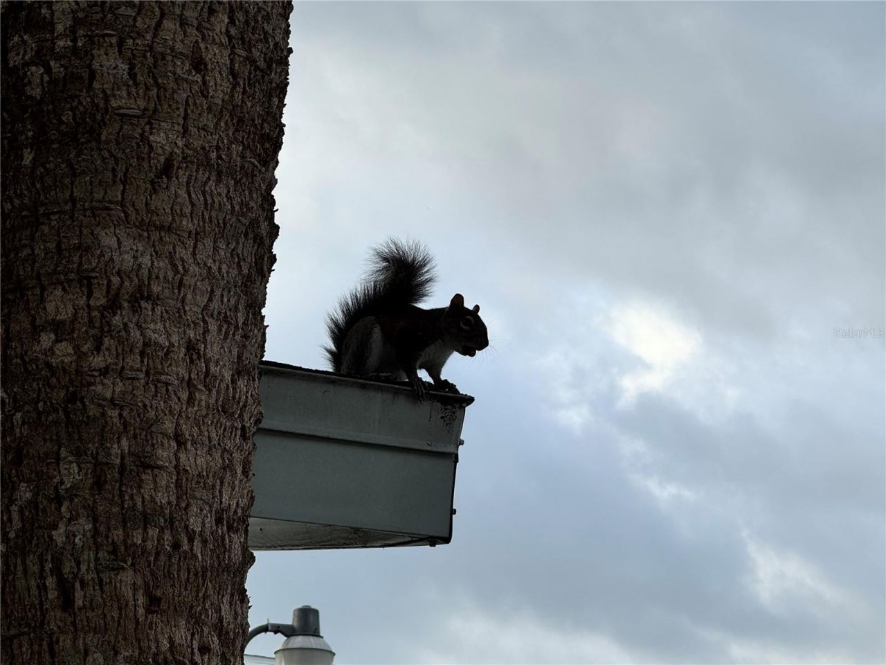 1826 Sunny Drive, Unit D26, Bradenton, FL 34207 Photo