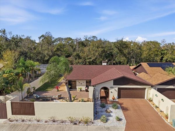 13608 AVISTA DRIVE, TAMPA, FL 33624