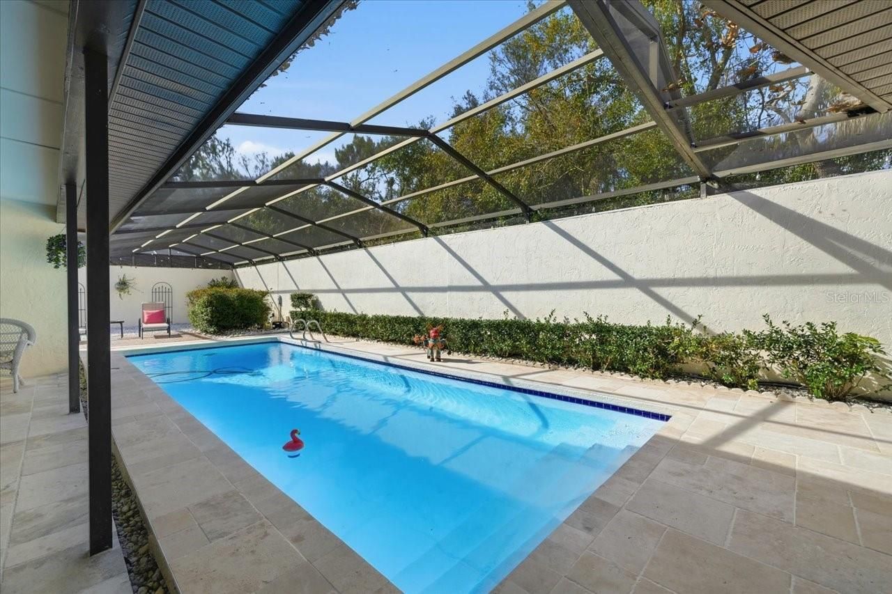 13608 Avista Drive, Tampa, FL 33624 Photo