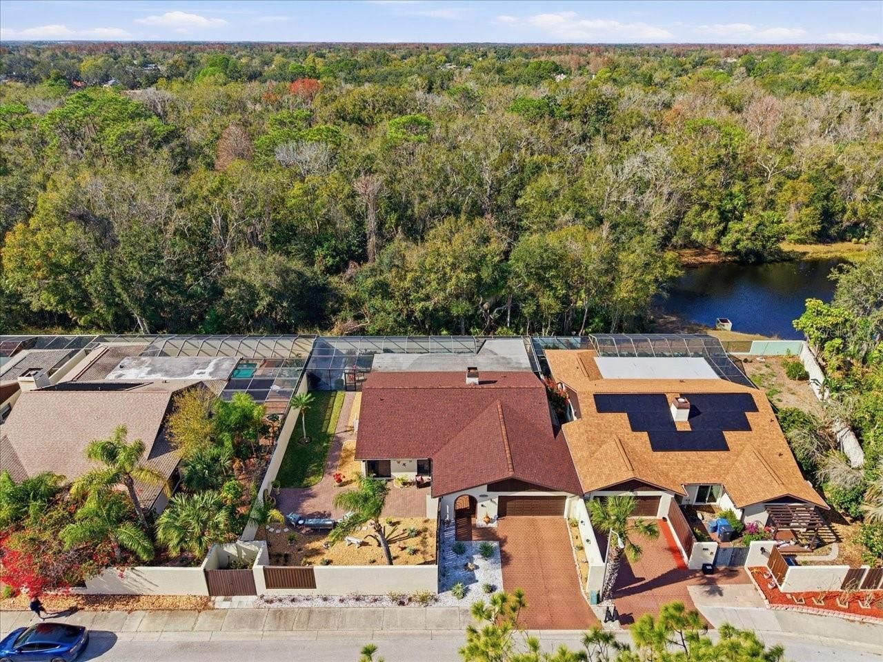 13608 Avista Drive, Tampa, FL 33624 Photo