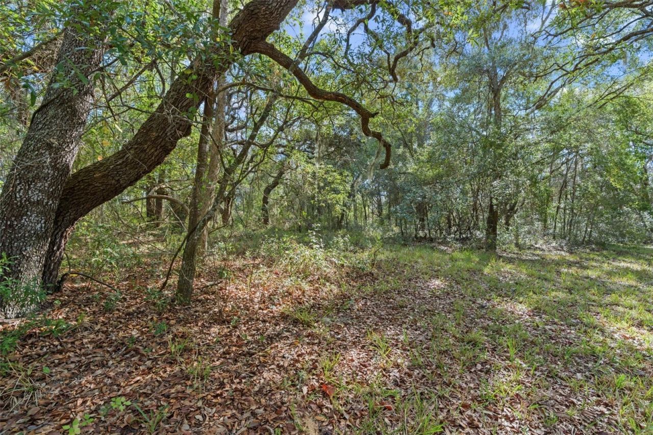 4290 W Norvell Bryant Highway, Crystal River, FL 34429 Photo