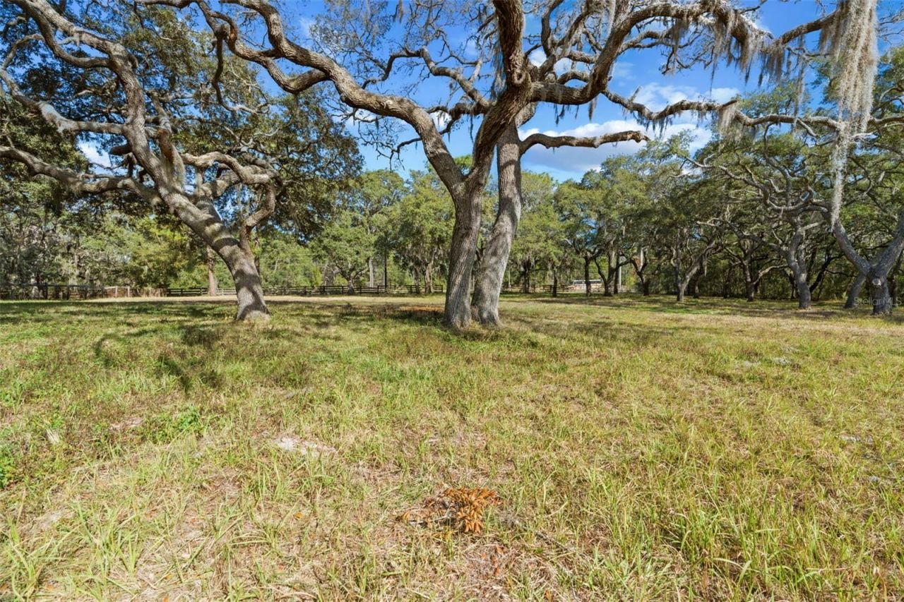 4290 W Norvell Bryant Highway, Crystal River, FL 34429 Photo