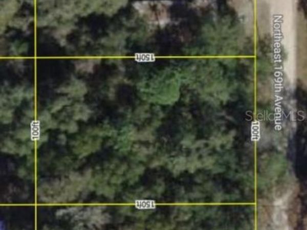 170 NE 169TH AVENUE, SILVER SPRINGS, FL 34488
