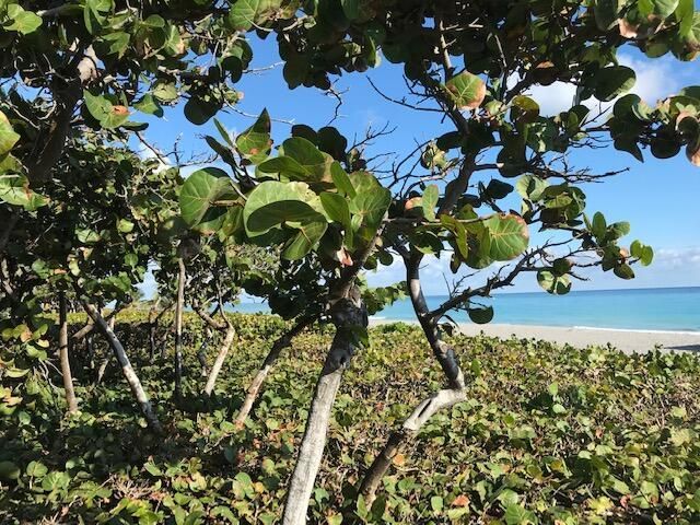 1420 Ocean Way, Unit #29a, Jupiter, FL 33477 Photo