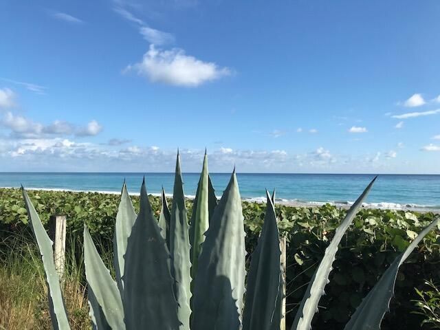 1420 Ocean Way, Unit #29a, Jupiter, FL 33477 Photo