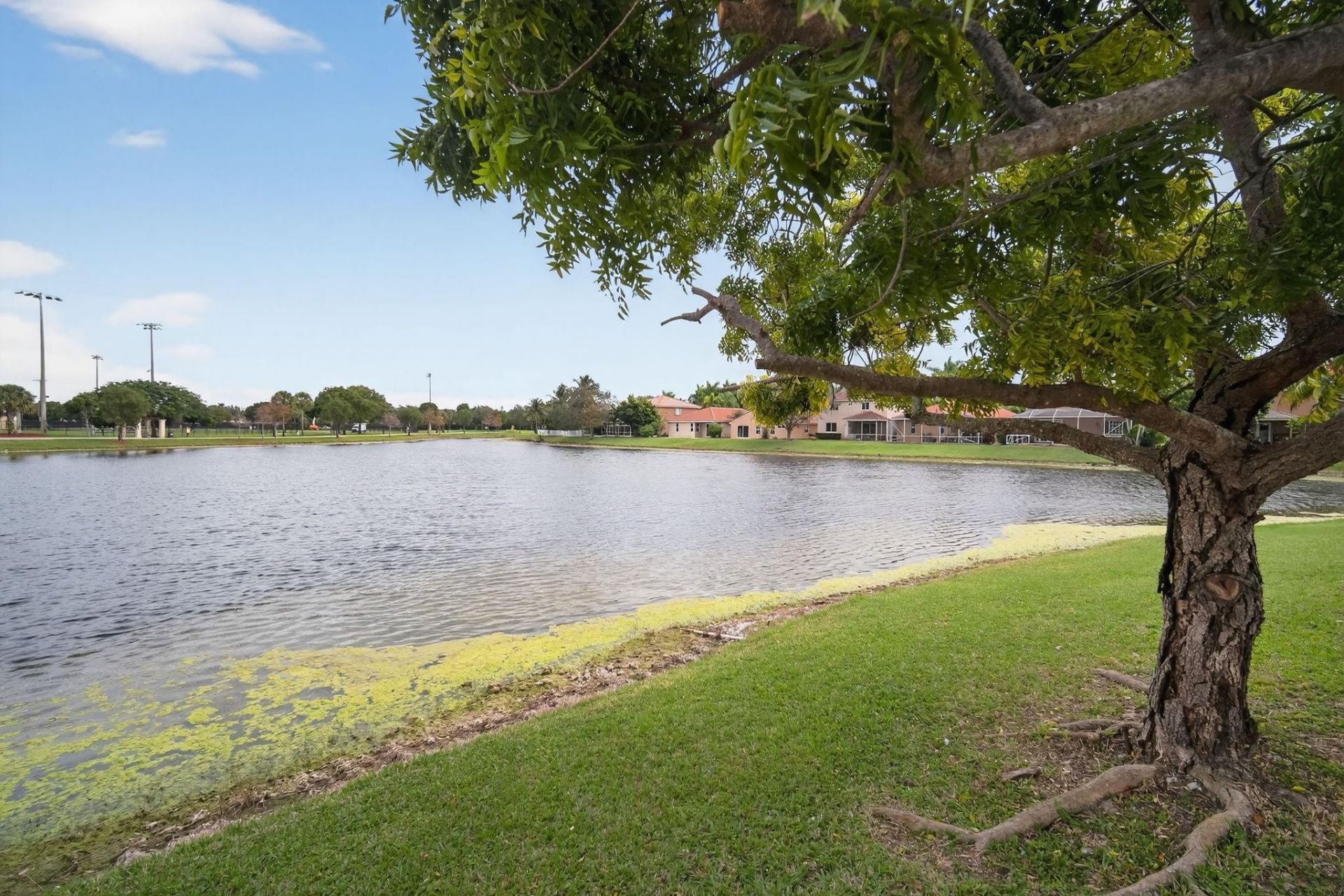 4684 Waycross Dr, Coconut Creek, FL 33073 Photo