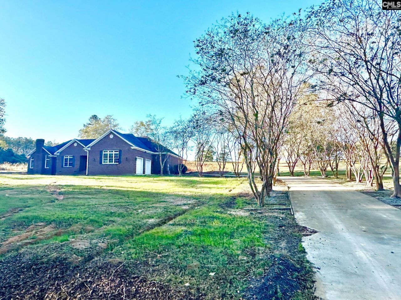 55 Longest Drive  Photo 4