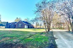 55 Longest Drive  photo 4