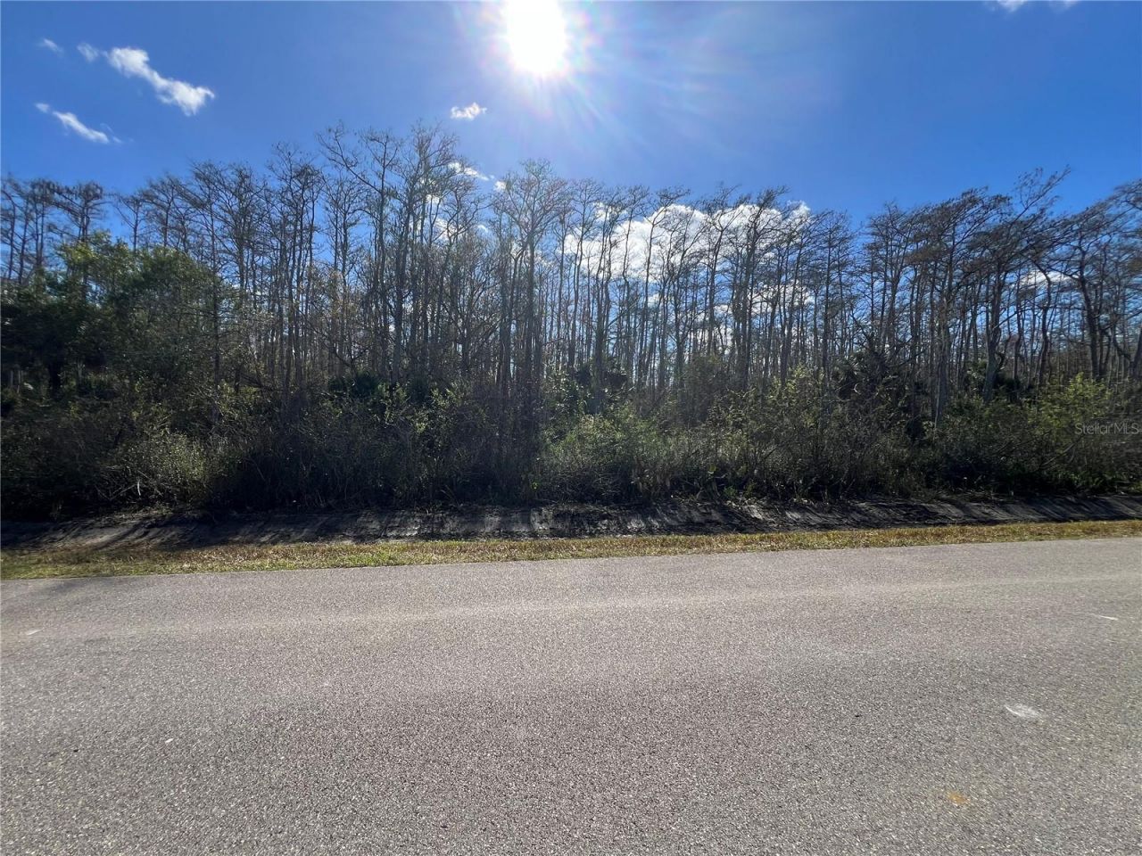 64th Ave Ne, Naples, FL 34120 Photo