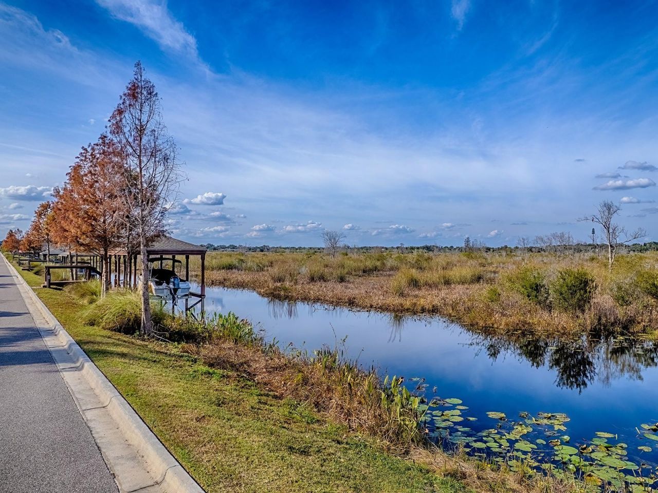 417 Blue Cypress Drive, Groveland, FL 34736 Photo