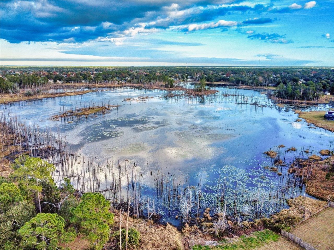 1412 Walton Avenue, Deltona, FL 32738 Photo