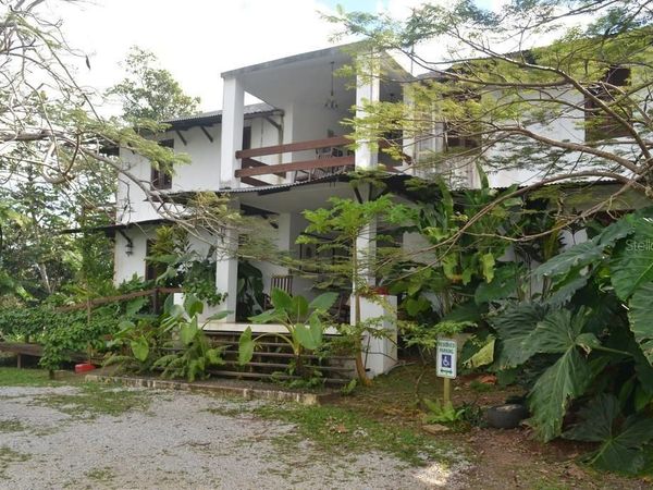 Pitahaya CAMINO LOS POLACOS, LUQUILLO, PR 00773