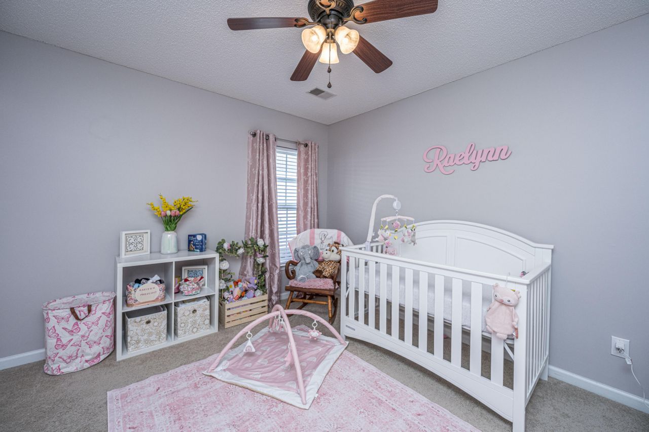 155 Wildberry Lane Photo 28