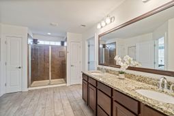 3217 Arrow Arum Drive photo 4