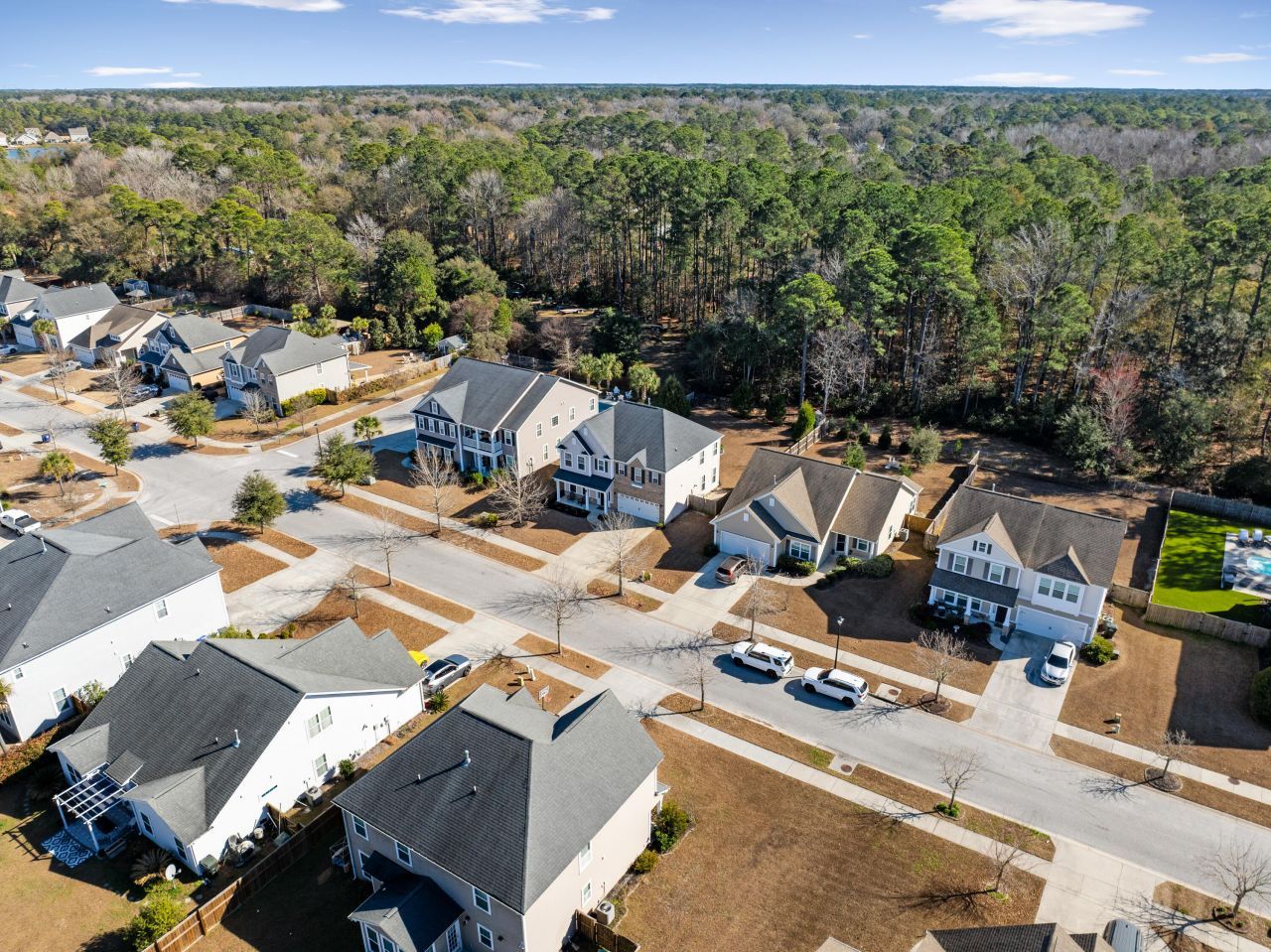 3217 Arrow Arum Drive Photo 58