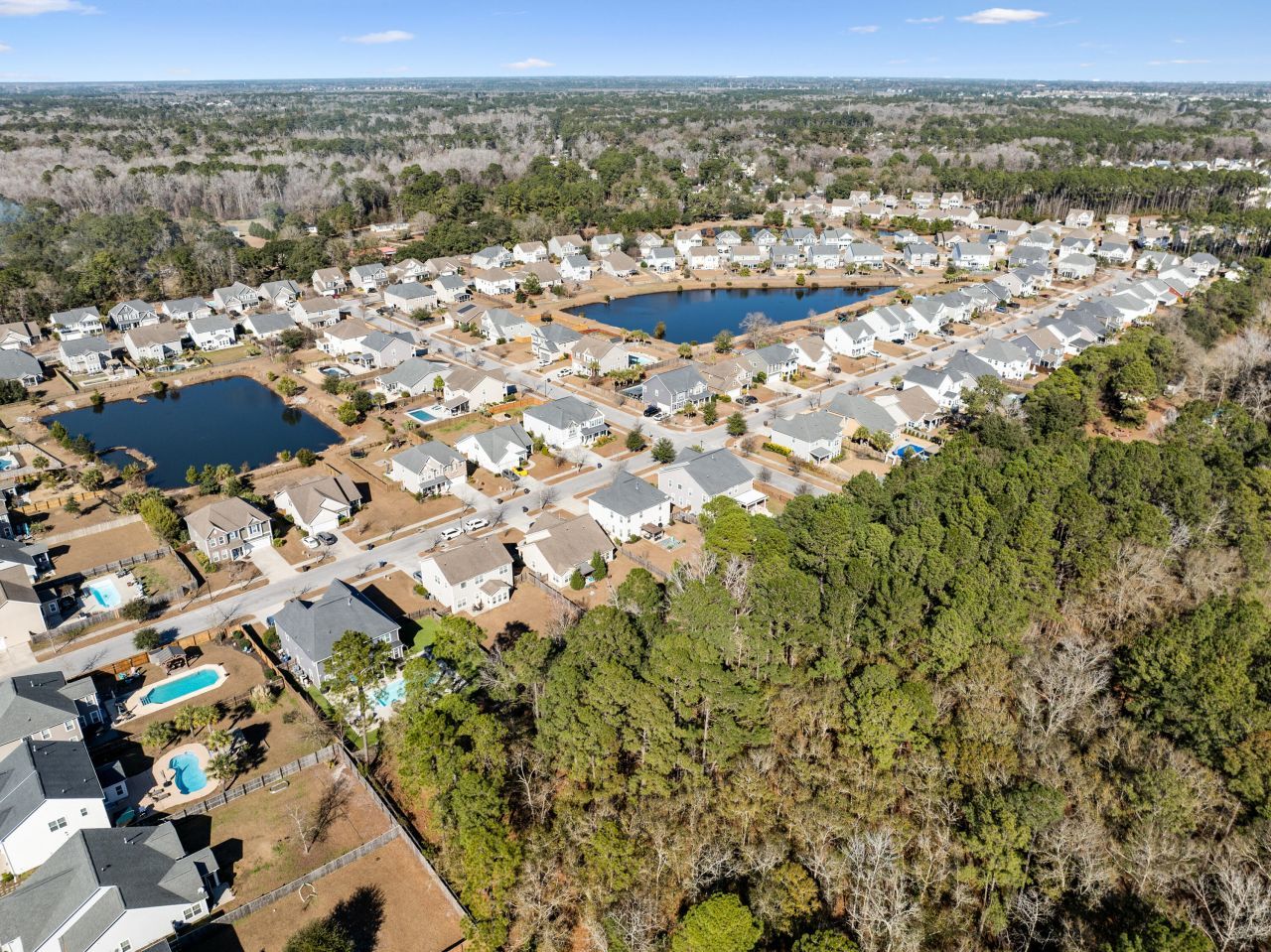 3217 Arrow Arum Drive Photo 60