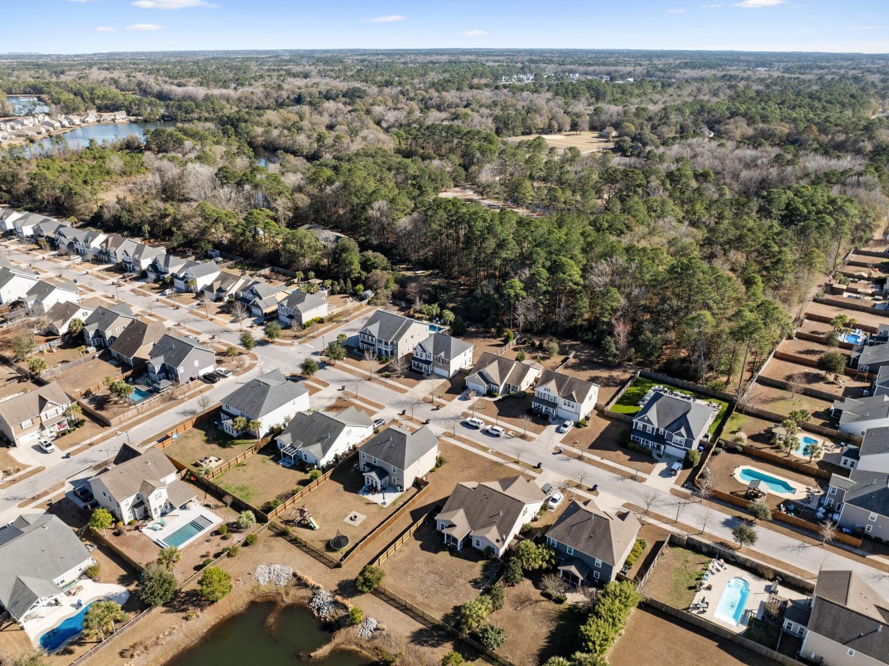 3217 Arrow Arum Drive Photo 61