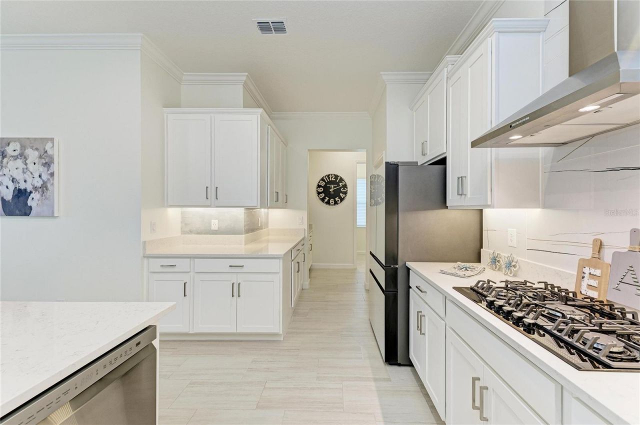 12208 Violet Jasper Drive, Parrish, FL 34219 Photo