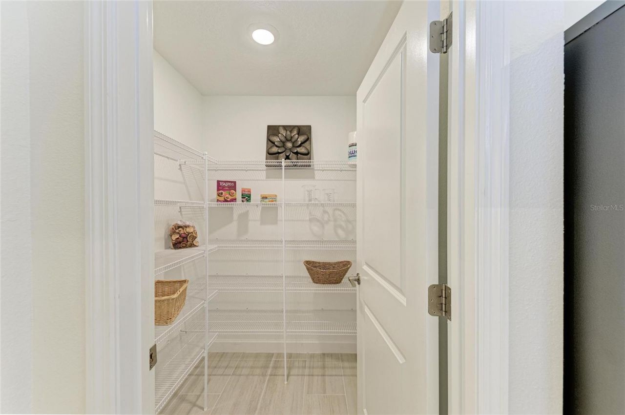 12208 Violet Jasper Drive, Parrish, FL 34219 Photo