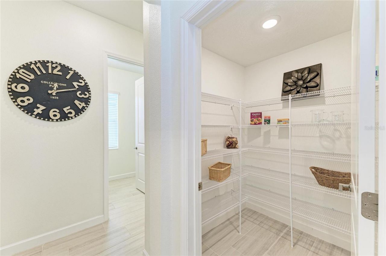 12208 Violet Jasper Drive, Parrish, FL 34219 Photo