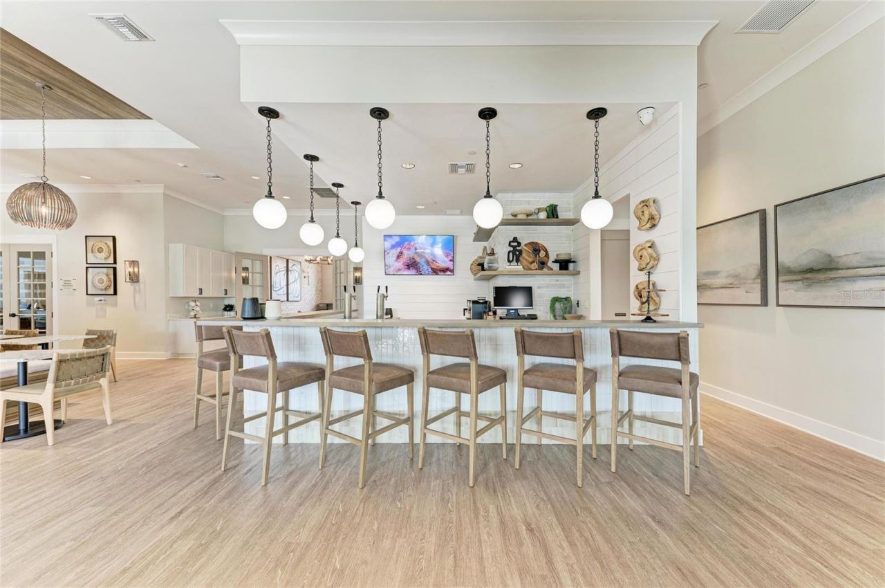 12208 Violet Jasper Drive, Parrish, FL 34219 Photo