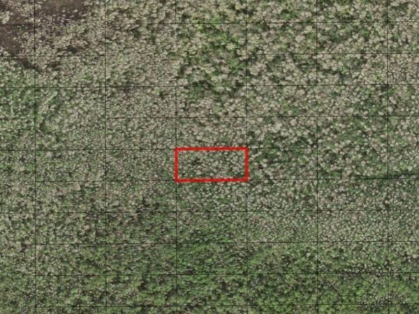 0 HOLOPAW GROVES RD, St. Cloud, FL 34772