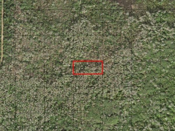 0 HOLOPAW GROVES RD, St. Cloud, FL 34772