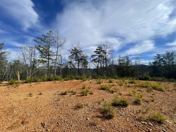 Lot 36 Bullet Mountain Drive , Tellico Plains, TN 37385