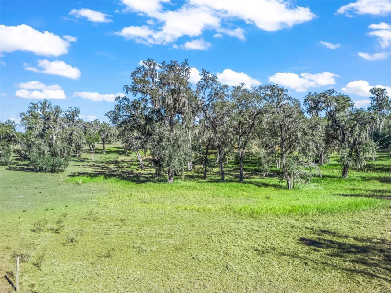 Tbd NW 127 Court, Ocala, FL 34482 Photo