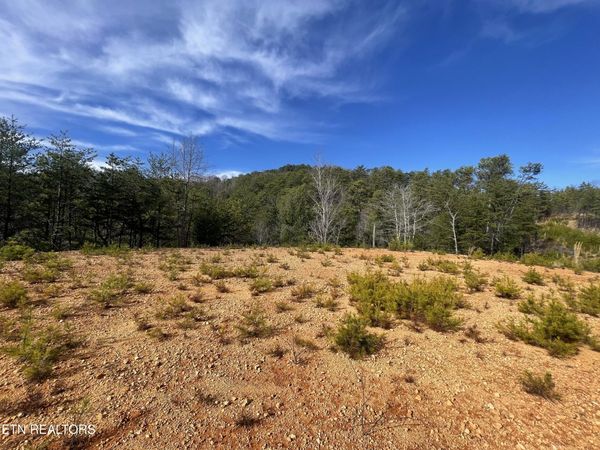 Lot 36 Bullet Mountain Drive, Tellico Plains, TN 37385