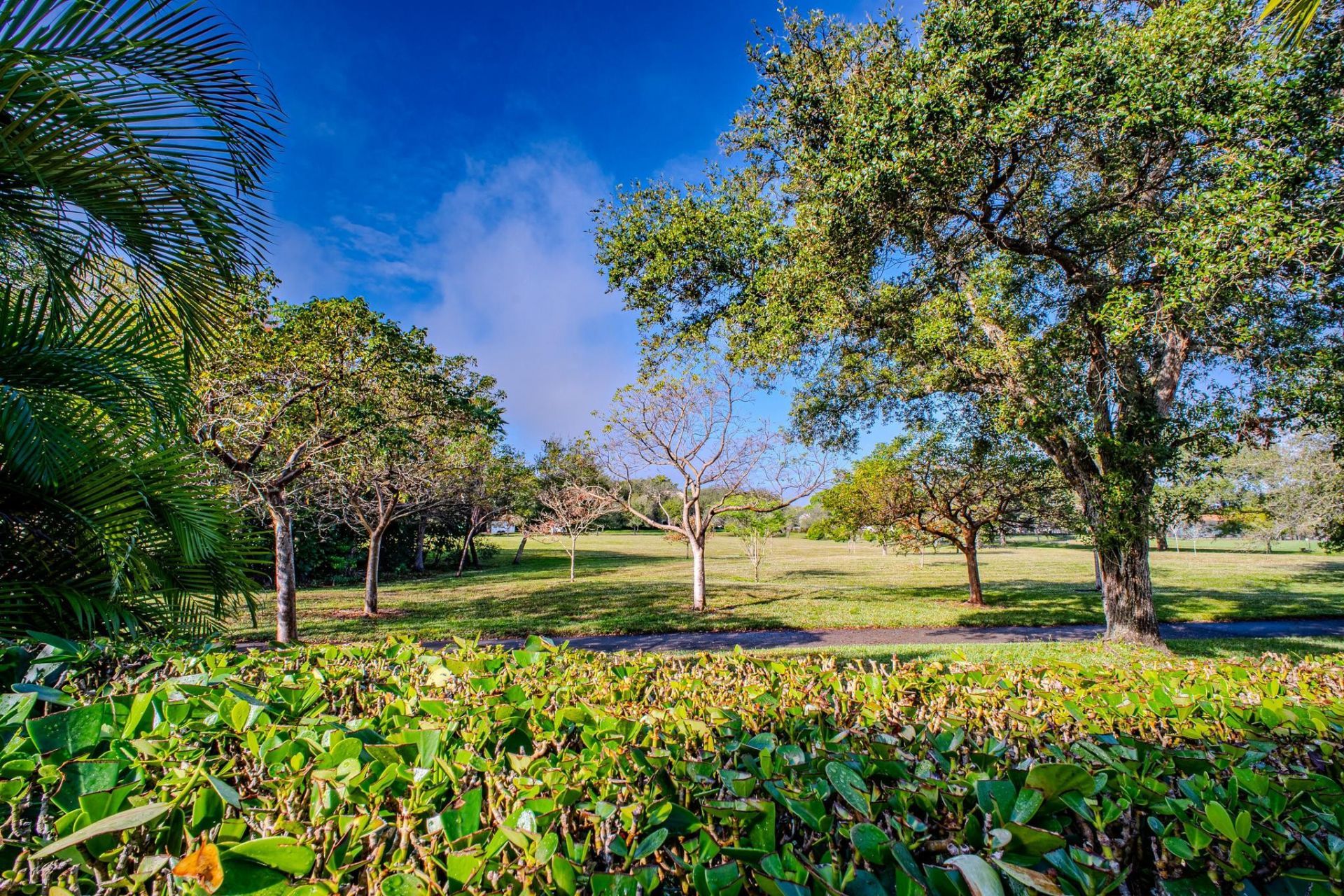 11431 Lakeview Drive, Unit 5-C, Coral Springs, FL 33071 Photo