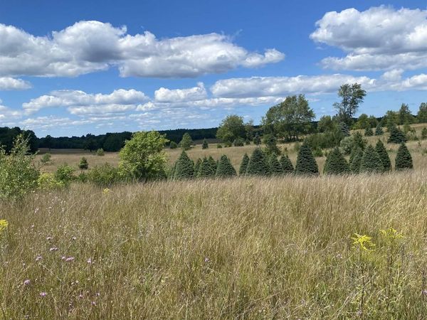 17 Creighton Road, South Boardman, MI 49680