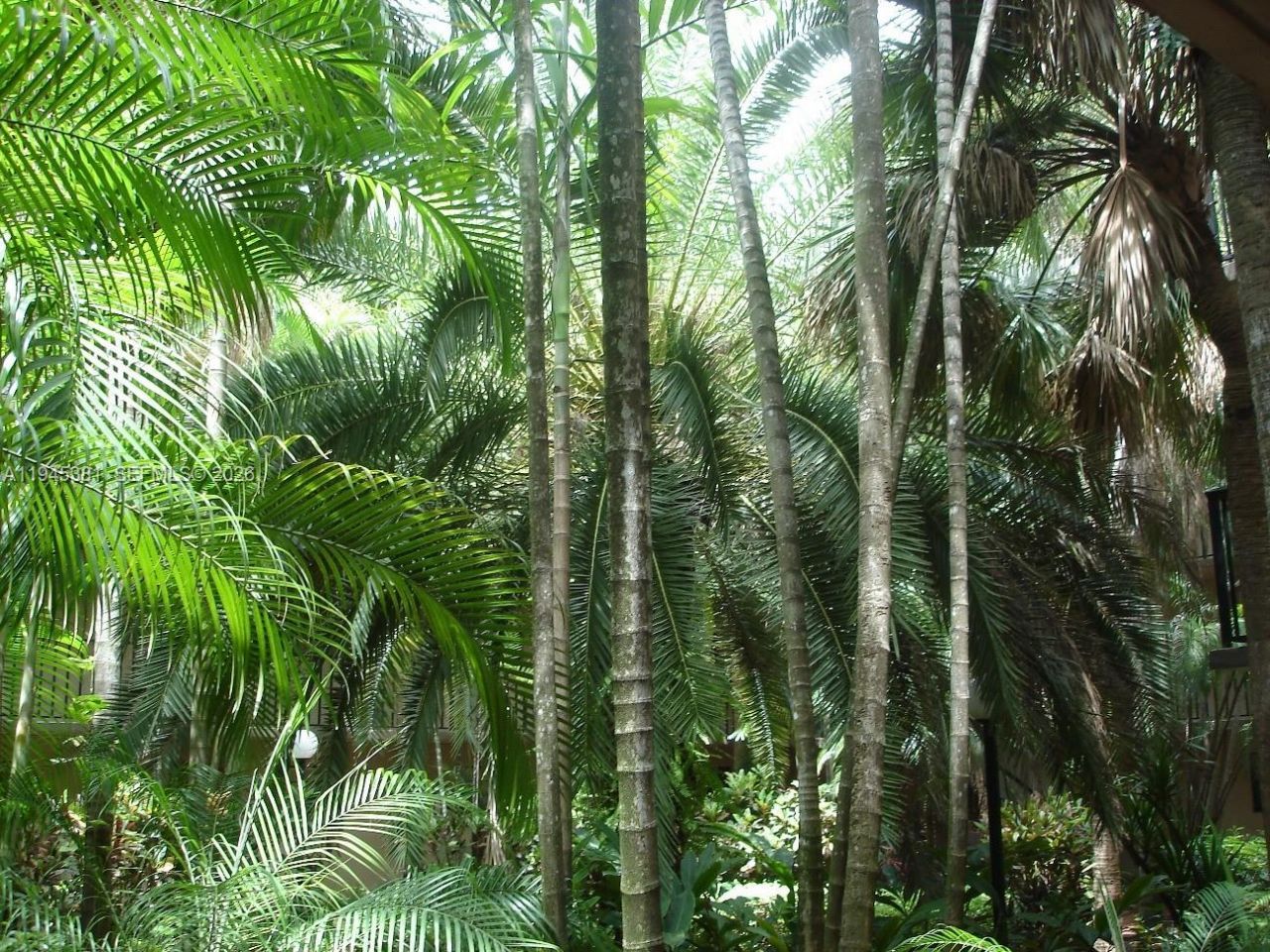 10865 SW 112th Ave, Unit 211, Miami, FL 33176 Photo