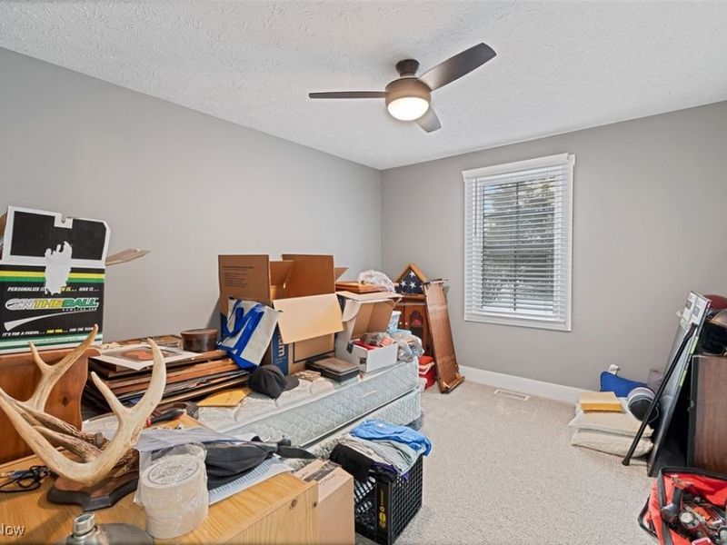 132 Villard Street, Apple Creek, OH 44606 Photo 15