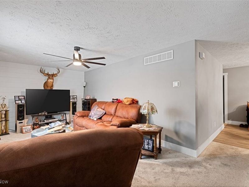 132 Villard Street, Apple Creek, OH 44606 Photo 5