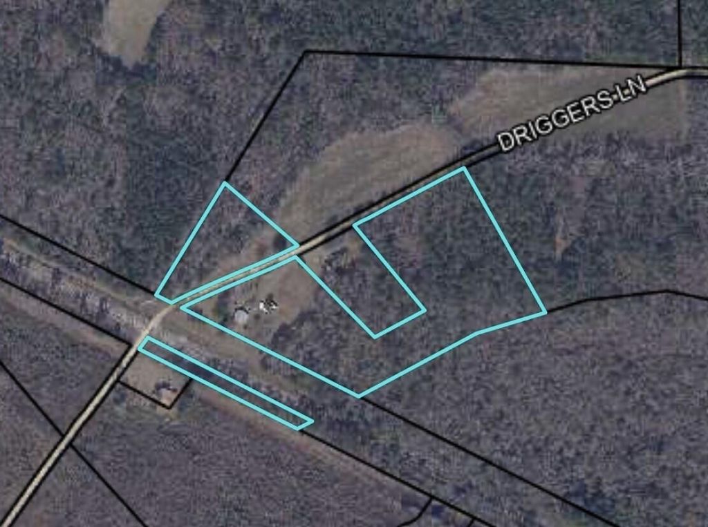 1248 Driggers Lane Photo 11