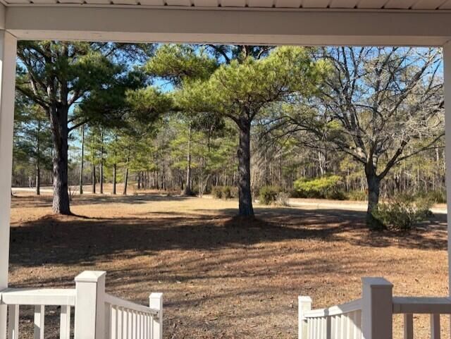 1248 Driggers Lane Photo 2