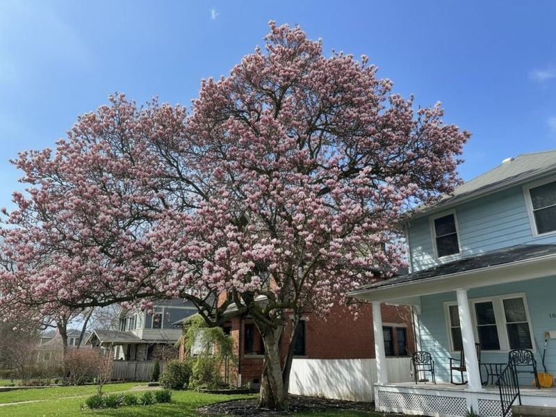 1875 W 1st Avenue, Columbus, OH 43212 Photo 55