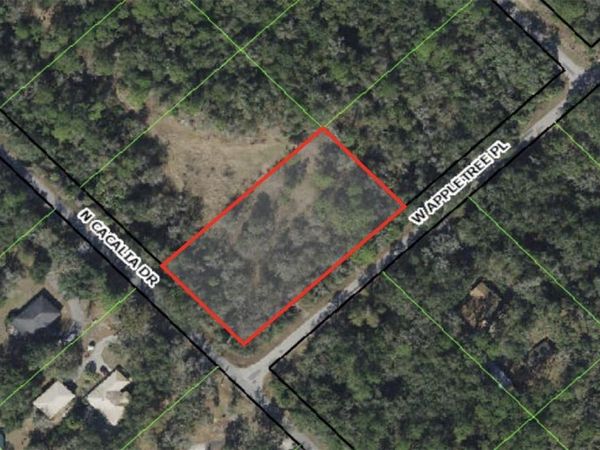 9069 N CACALIA DRIVE, CRYSTAL RIVER, FL 34428