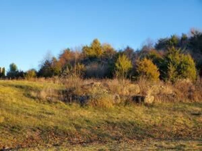 2 Links View Drive, Butler, KY 41006 Photo 2