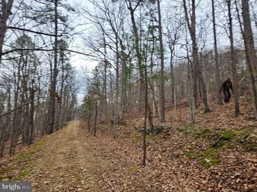 CHAPMAN LANE, BOYCE, VA 22620