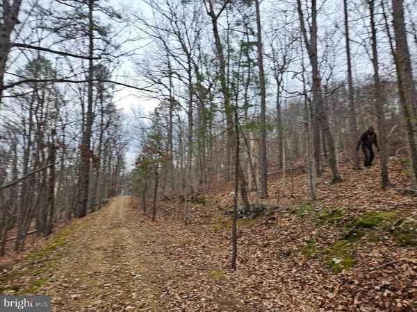 CHAPMAN LANE, BOYCE, VA 22620