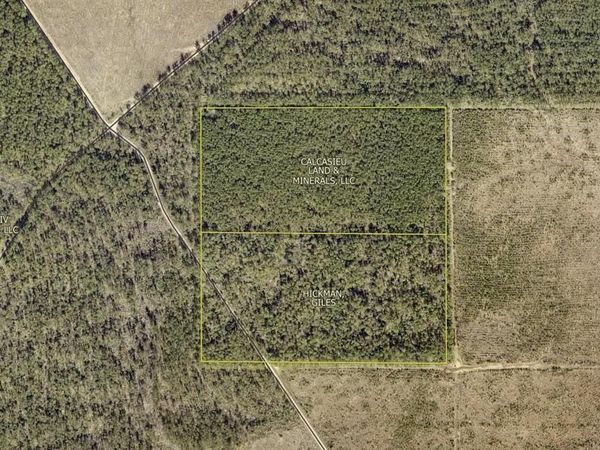 171 S N-A S, DeRidder, LA 70634